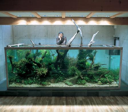 установка аквариума