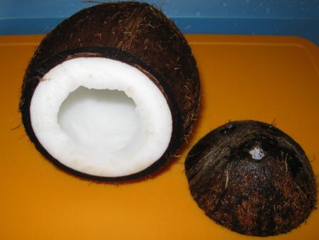 кокос для аквариума